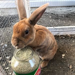 Meet your Posher, Brooklyn